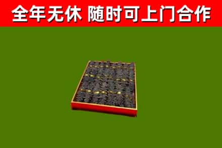 策勒回收海参